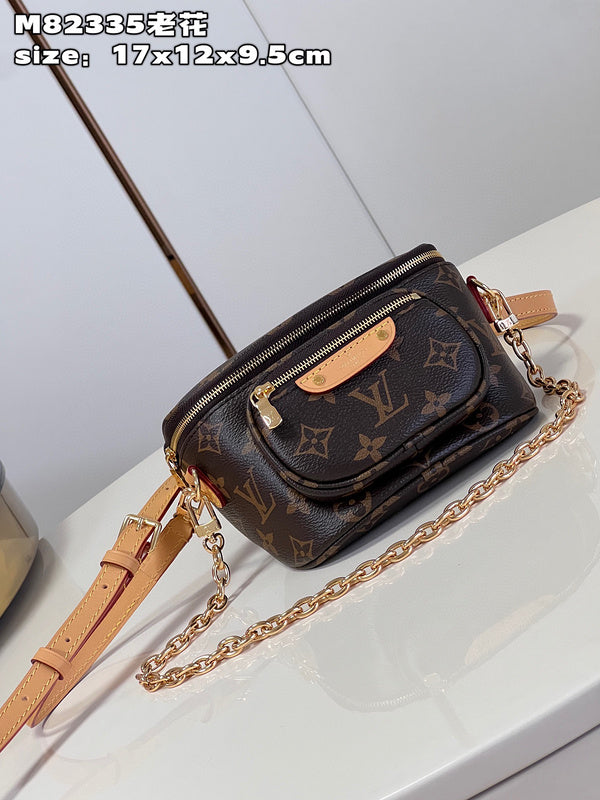 Louis Vuitton Bags