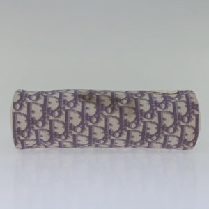 Dior Trotter  Canvas Clutch Bag