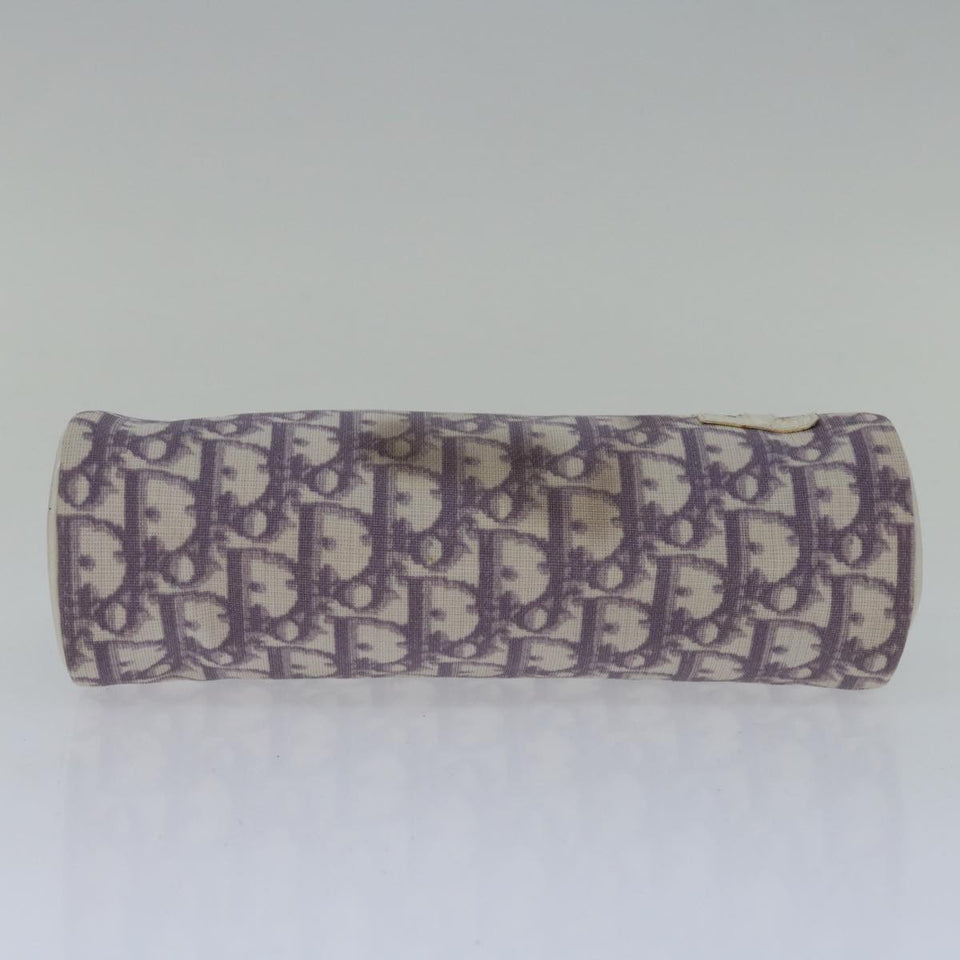 Dior Trotter  Canvas Clutch Bag