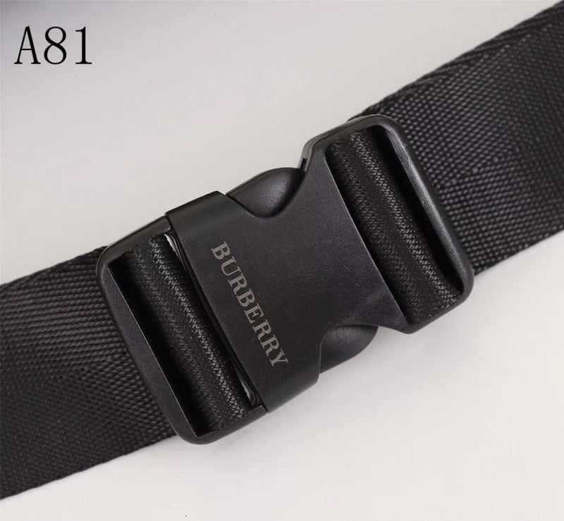 Burberry Bags - Bagsattire   092