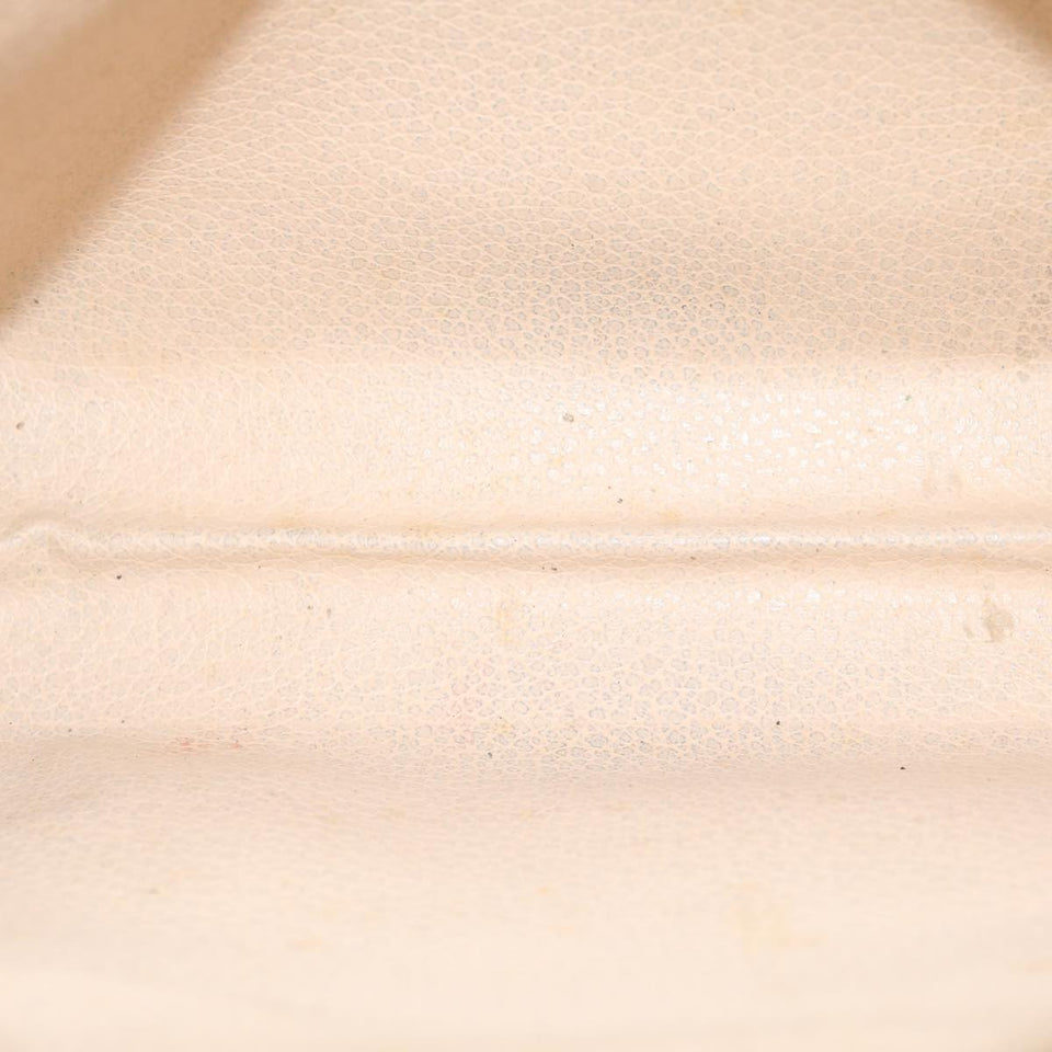 Louis Vuitton Trousse De Toilette  Canvas Clutch Bag