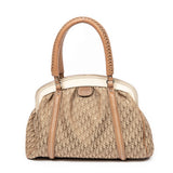 My Dior Frame Bag
