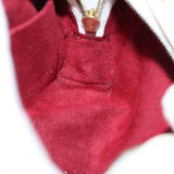 Louis Vuitton Wapiti Clutch Bag