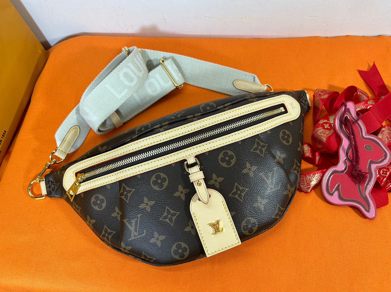 Louis Vuitton Bags