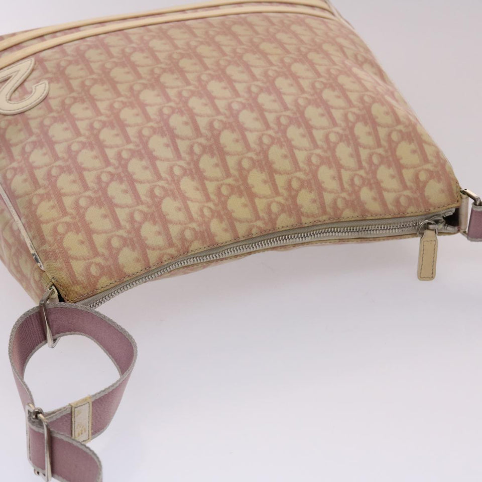 CHRISTIAN DIOR Trotter Canvas Shoulder Bag Pink  fm2502