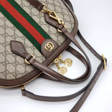 Gucci GG Ophidia Handbag and Shoulder Bag
