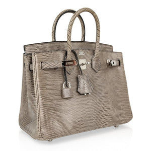 Hermes Birkin 25 Bag Gris Agate Lizard Palladium Hardware VERY Rare