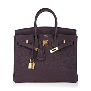 Hermes Birkin 25 Bag Chocolat Gold Hardware Togo Leather