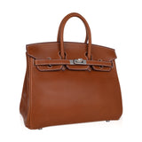 Hermes Limited Edition Birkin 25 Fauve Barenia Leather Bag Palladium Hardware