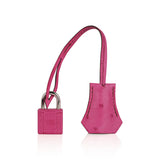 Hermes Birkin 25 Bag Fuchsia Ostrich with Palladium Hardware