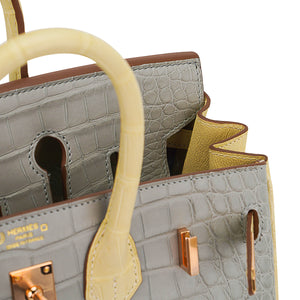 Hermes Special Order HSS Birkin 25 Bag Gris Perle & Vanille Matte Alligator with Rose Gold Hardware