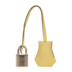 Hermes Birkin 25 Bag Jaune Poussin Togo Leather with Palladium Hardware