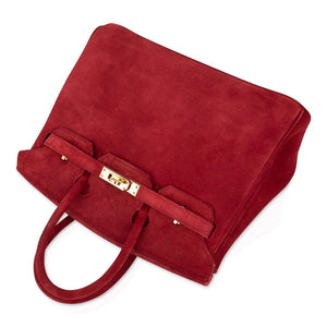 Hermes Birkin 25 Doblis Bag Rouge Vif Suede Gold Hardware