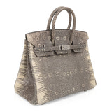 Hermes Birkin 25 Bag Ombre Lizard Palladium Hardware Holy Grail Bag