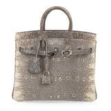 Hermes Birkin 25 Bag Ombre Lizard Palladium Hardware Holy Grail Bag