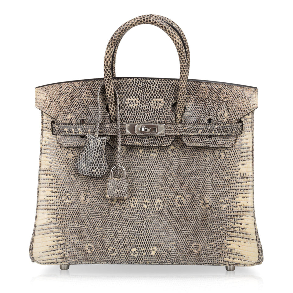 Hermes Birkin 25 Bag Ombre Lizard Palladium Hardware Holy Grail Bag