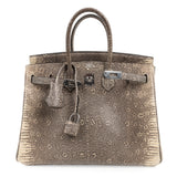 Hermes Birkin 25 Bag Ombre Lizard Palladium Hardware Holy Grail Bag