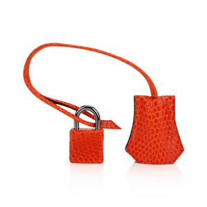 Hermes Birkin 25 Bag Orange Tangerine Lizard with Ruthenium Hardware