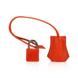 Hermes Birkin 25 Bag Orange Tangerine Lizard with Ruthenium Hardware