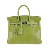 Hermes Limited Edition Birkin 25 Bag Vert Anis Lizard with Palladium Hardware