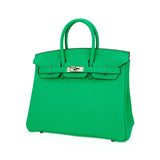 Hermes Birkin 25 Bag Vert Comics Togo Leather with Palladium Hardware