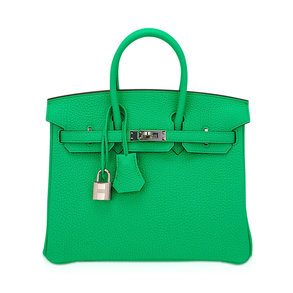 Hermes Birkin 25 Bag Vert Comics Togo Leather with Palladium Hardware