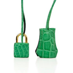 Hermes Birkin 35 Bag Matte Alligator Cactus Gold Hardware