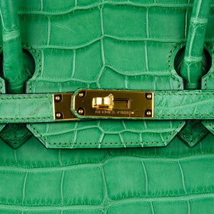 Hermes Birkin 35 Bag Matte Alligator Cactus Gold Hardware