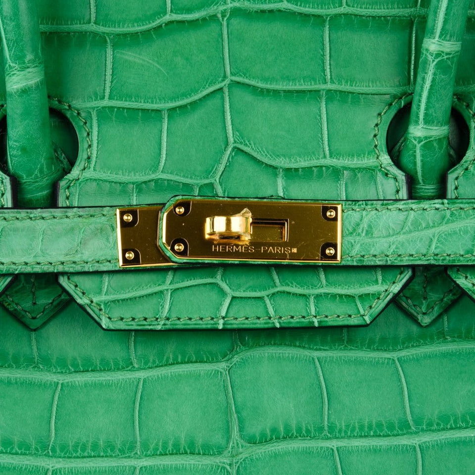 Hermes Birkin 35 Bag Matte Alligator Cactus Gold Hardware