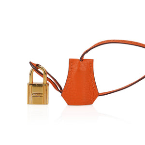 Hermes Birkin 35 Bag Orange Togo Leather with Gold Hardware