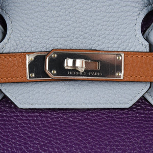 Hermes Birkin 35 Bag Arlequin Limited Edition Clemence Palladium