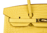 Hermes Birkin 35 Bag Matte Alligator Mimosa Gold Hardware Crazy Fabulous