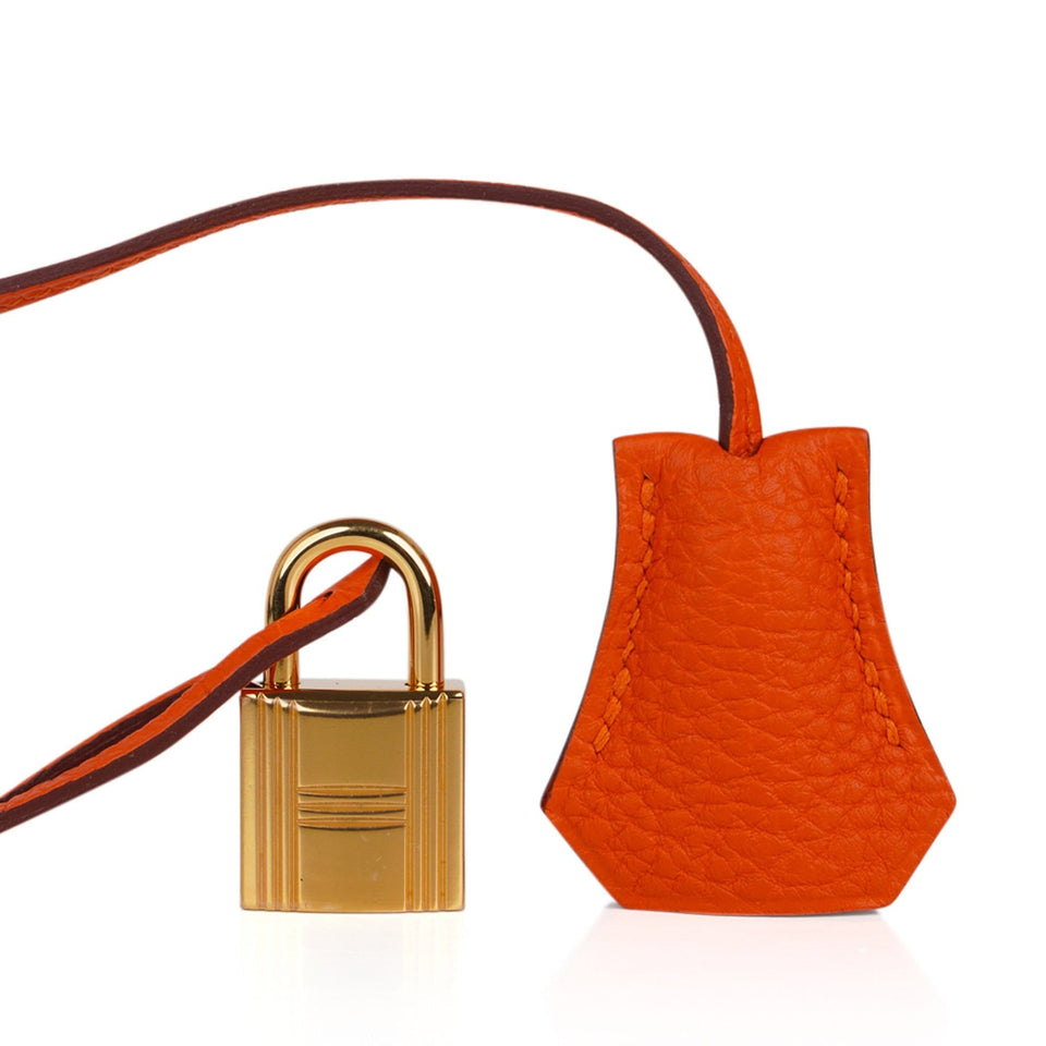 Hermes Birkin 35 Bag Feu Orange Togo Gold Hardware