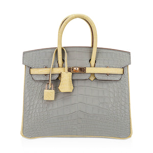 Hermes Special Order HSS Birkin 25 Bag Gris Perle & Vanille Matte Alligator with Rose Gold Hardware