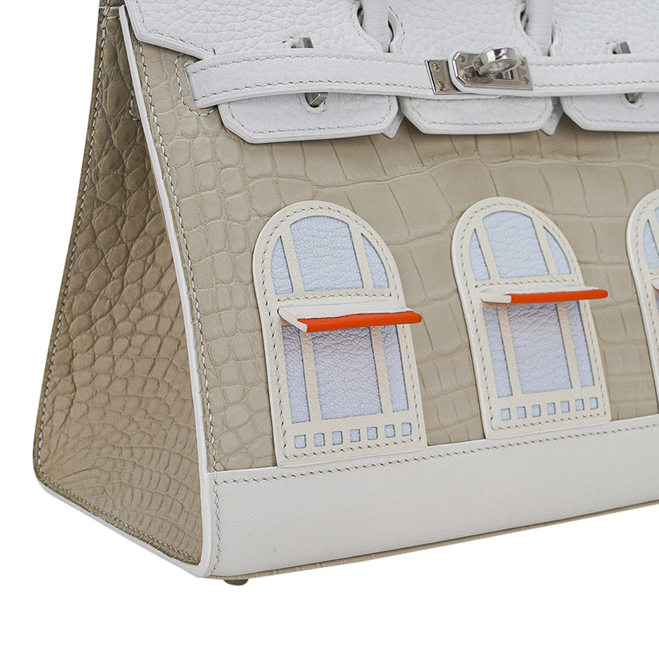 Hermes Limited Edition Birkin 20 Faubourg Sellier Bag Neige (Snow) White Matte Alligator