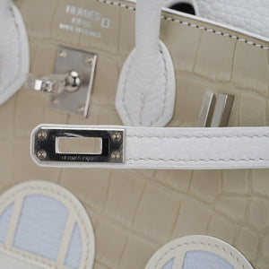 Hermes Limited Edition Birkin 20 Faubourg Sellier Bag Neige (Snow) White Matte Alligator