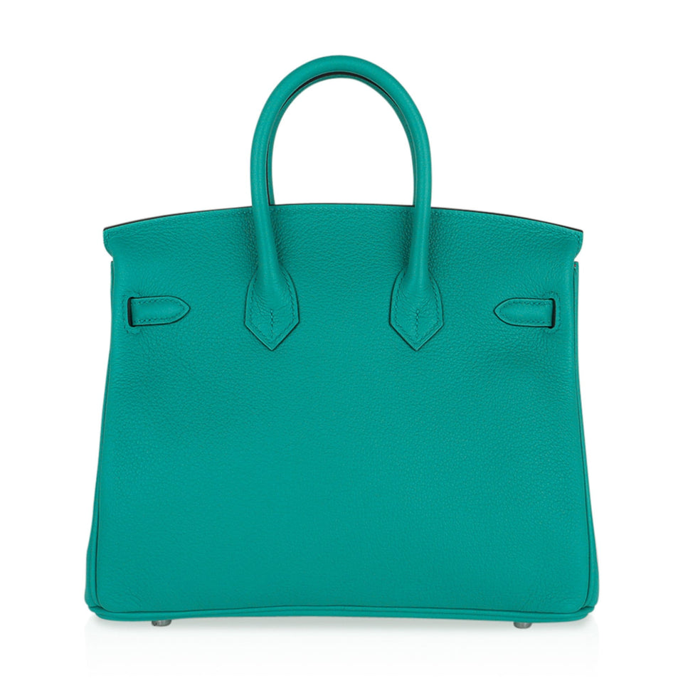 Hermes Verso Birkin 25 Bag Vert Verone & Rose Lipstick Novillo Leather with Palladium Hardware