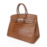 Hermes Diamond Birkin 35 Bag Fauve Barenia Matte Alligator Rare