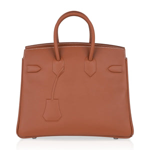 Hermes Shadow Birkin 25 Bag Gold Evercalf Limited Edition