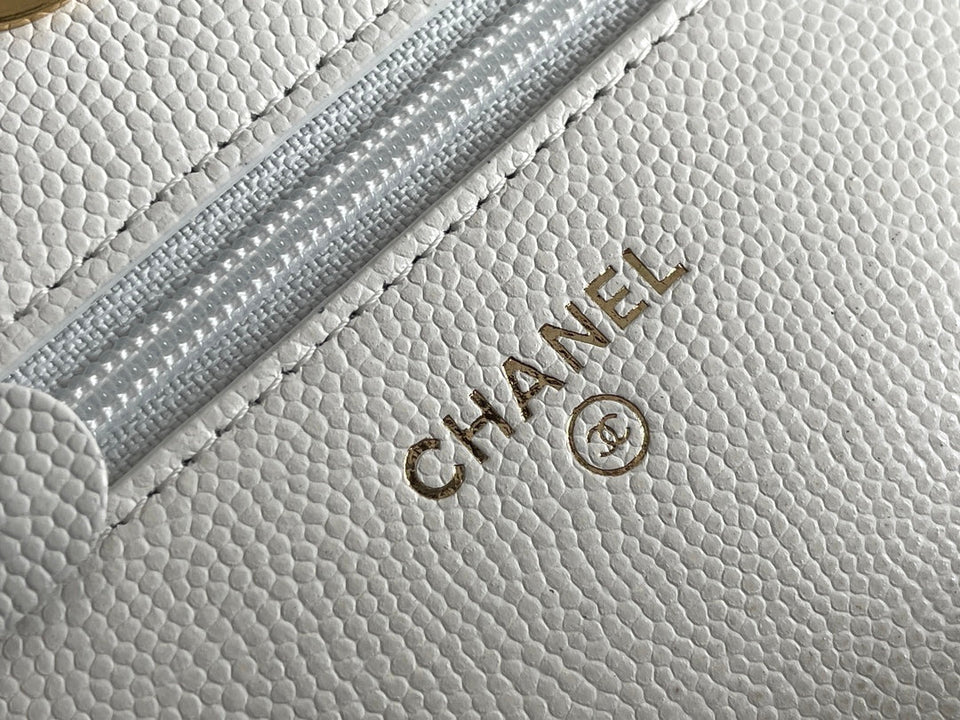 Chanel - Luxury Bag - CHL - 456