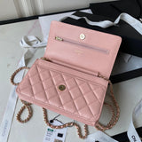 Chanel - Luxury Bag - CHL - 241