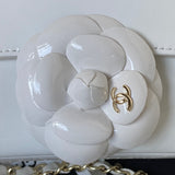 Chanel - Luxury Bag - CHL - 077