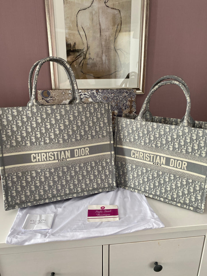 Dior Book Tote