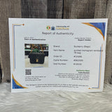 Crossbody Luxury Designer By Burberry  Size: Medium