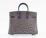 Hermes Birkin 25 Bag HSS Ostrich Gris Agate/Blue Sapphire Brushed Gold