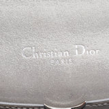 DIOR Grey Shimmering Leather Mini ama Crossbody Bag