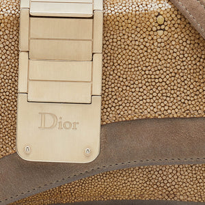 DIOR Grey/Beige Stringray and Suede Flap Saddle Shoulder Bag