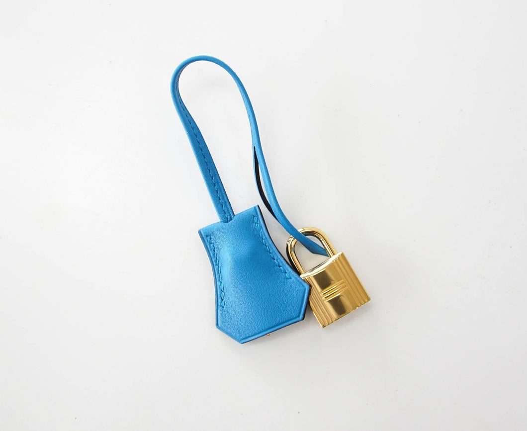 Hermes Birkin 25 Bag Blue Zanzibar Swift Gold Hardware New