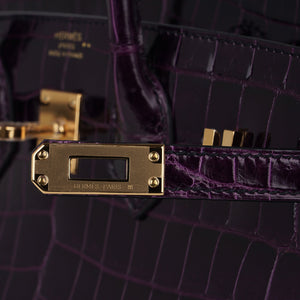 Hermes Birkin 25 Bag Aubergine Niloticus Crocodile with Gold Hardware