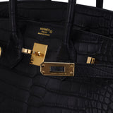 Hermes Birkin 25 Bag Black Matte Alligator with Gold Hardware